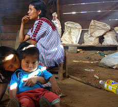 Kinder In Mexico Humanium