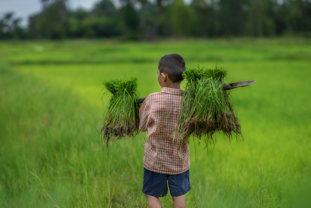 travail des enfants dans le secteur manufacturier